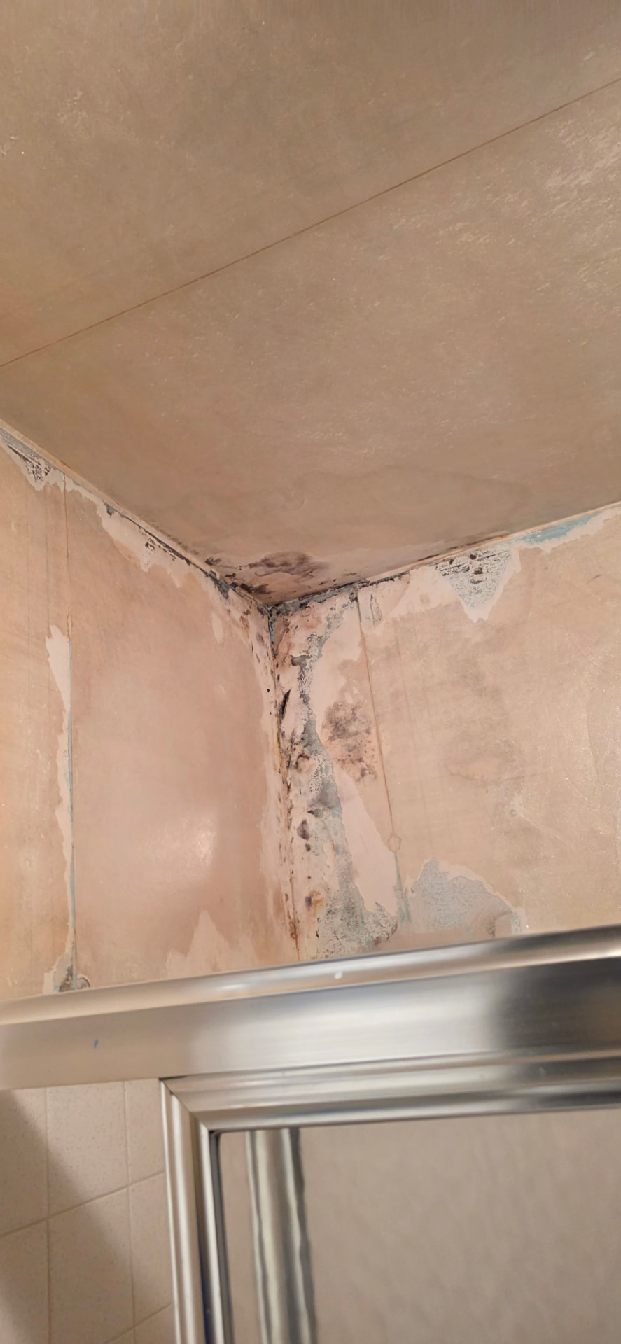 Mold and staining in the corner of a tiled bathroom wall and ceiling